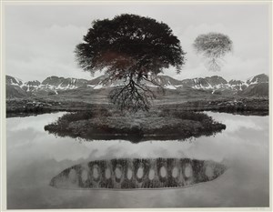 Image description is not available for 1974.004